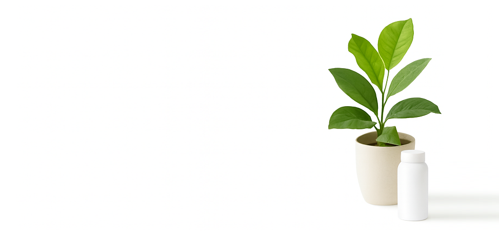 Amserwis marketing sieciowy Amserwis marketing sieciowy